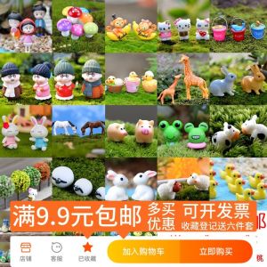 Succulent Plant Micro Landscape Decor