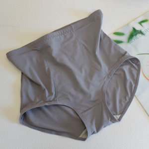 Four Seasons Ice Silk Mid-High Waist Hip Lifting Girls Underwear