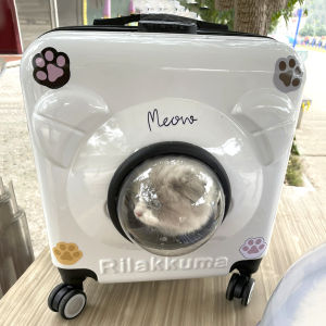 Pet Outing Portable Trolley Case Cat Bag Transparent Cat Luggage Backpack Large Capacity Dog Hand Flight Case