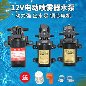 12V Rain Dew Water Pump Agricultural Electric Sprayer Water Pump Motor Spray Insecticide Machine Diaphragm Pump Smart Self-Priming Pump