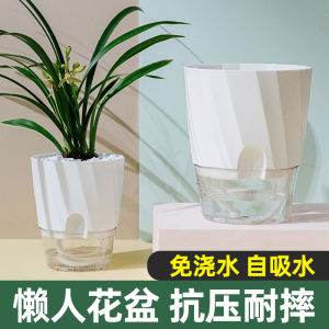Water-Free Flower Pot Self-Absorbent Bean Bag Internet Hot New Scindapsus Chinese Rose Plastic Balcony Orchid Succulents
