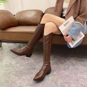 Korean Style Pointed Toe Thick Heel Knight Boots Womens Winter New Zipper Back Fleece Lined Slimming Long Boots Denim Trend