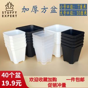 Small Black Square Thickened Flower Pot White Transparent Octagonal Succulent Plastic Extra Thick Basin Square Raising Seedlings by Cuting Leaf Insert Stuffy Pot