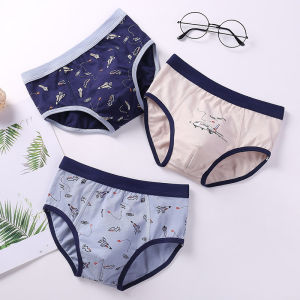 Quần Lót Cotton Nguyên Chất Cho Bé Trai Quần Lót Tam Giác Thoải Mái Thoáng Khí Cho Bé Trai Từ 1-15 Tuổi Quần Lót Cotton Thoáng Khí