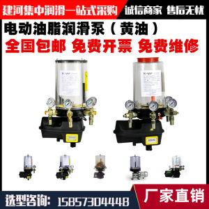 Electric Automatic Lubricating Oil Pump Mixer for Construction Equipment 24V 220V 380V 12V 110V Aluminum Alloy Pump