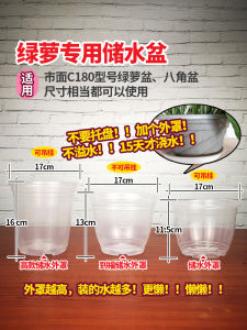 Transparent Plastic Flower Pot Automatic Water Absorption Home Use Lazy Person Special Storage Water Cultivation Green Ivy Pot