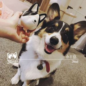Little B Corgi Pig Toy Shy Short Legged Thickened Latex Toy Vocalizing Plushie Dog Toy Cute Pig Corgi Sound Making Toy