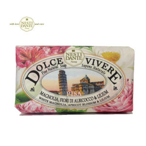 Italy Imports Neistedant Soap Sweet Tour Leisurely Pizza City Bath Soap 250g Loved