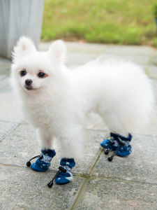 Waterproof Teddy Dog Shoes Spring Summer Soft Bottom Non Slip Pet Footwear for Small Breeds like Bichon Four Seasons Outdoor
