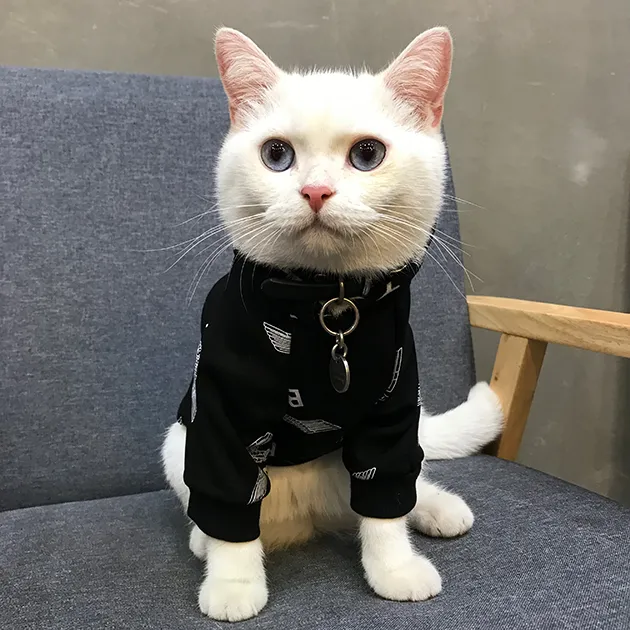 Cat clothes shop near me