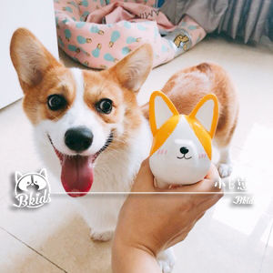 Little B Corgi Pig Toy Shy Short Legged Thickened Latex Toy Vocalizing Plushie Dog Toy Cute Pig Corgi Sound Making Toy