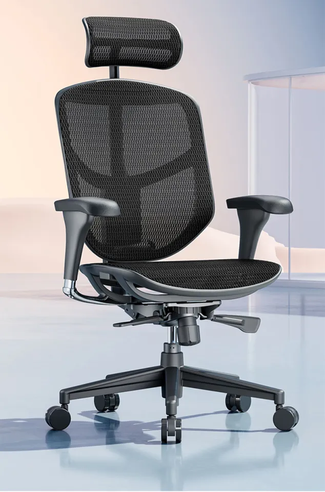 Ergonor Baoyou Jinzhuo B 2nd Generation Ergonomic Computer Chair Sedentary Comfortable Office Chair Household E Sports Chair Lazada