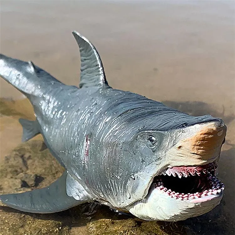 Hình ảnh Phim Hoạt Hình Cá Mập Minh Họa PNG , Cá Mập, Răng, Tức Giận PNG  trong suốt và Vector để tải xuống miễn phí