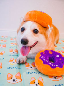 Halloween Pumpkin Donut Sound Making Dog Toy Small B Pup Original Single Pet Toy with Squeaky Paper And BB Call Feature