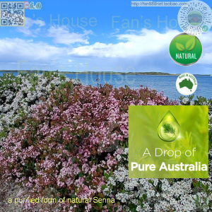 Australia Senna 50 Tablet or 24 Square or 48 Square - A Comprehensive Guide