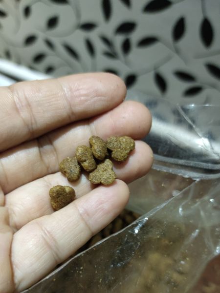 Buyer review image 4