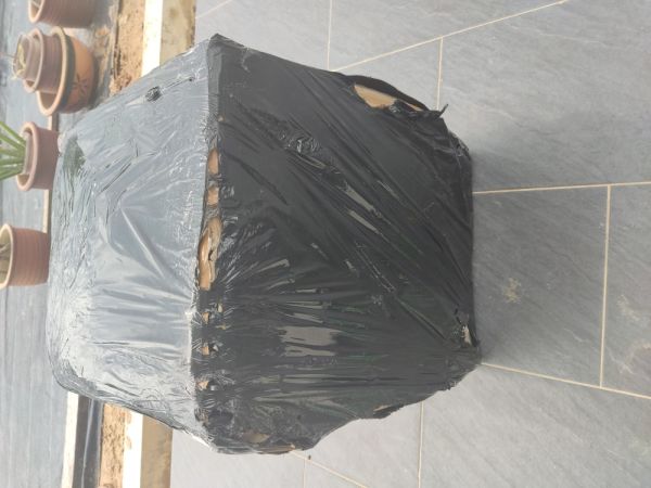 Buyer review image 4