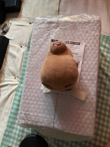 Buyer review image 1
