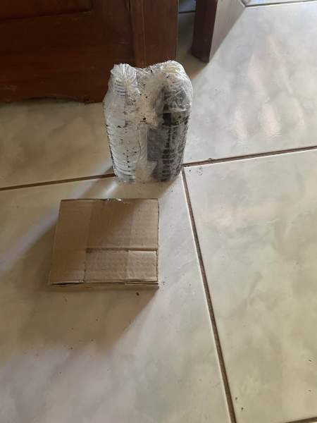 Buyer review image 2
