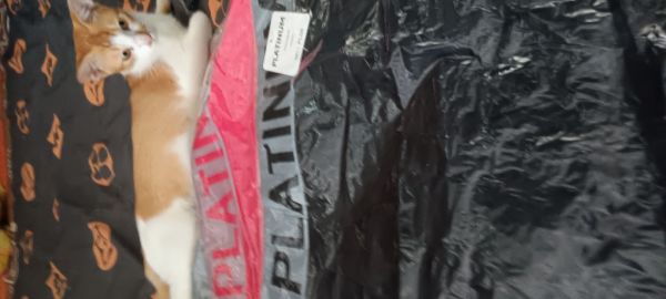 Buyer review image 5