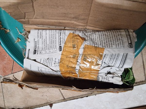 Buyer review image 2