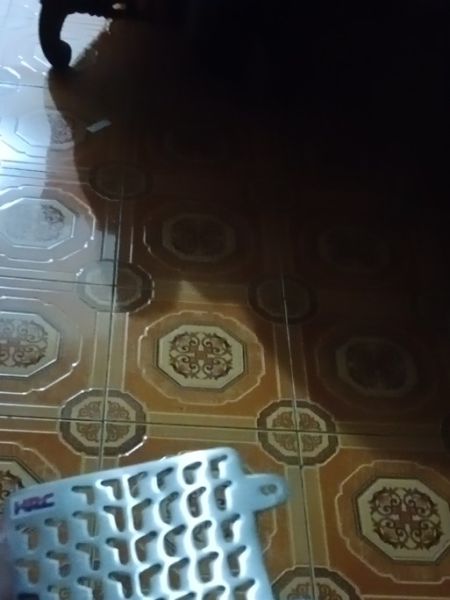 Buyer review image 4