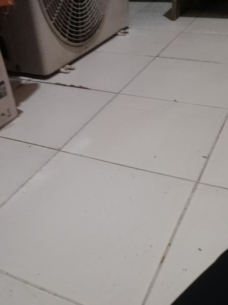 Buyer review image 5