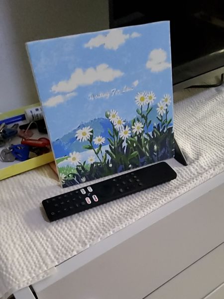 Buyer review image 2