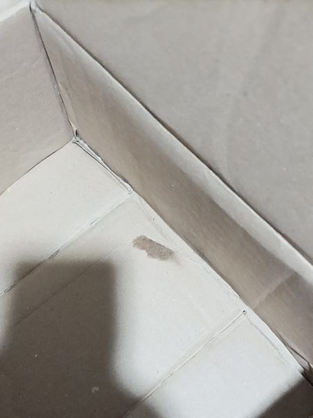 Buyer review image 5