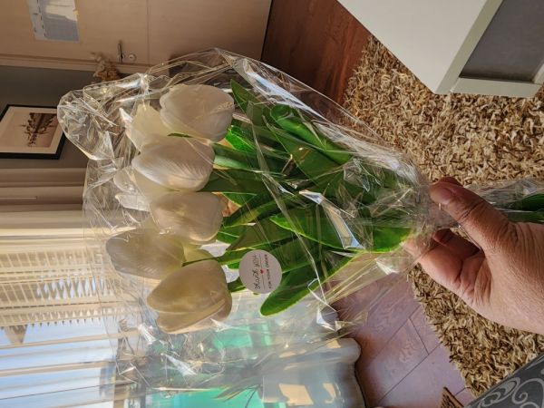 Buyer review image 2