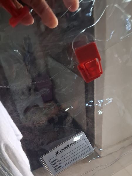Buyer review image 2
