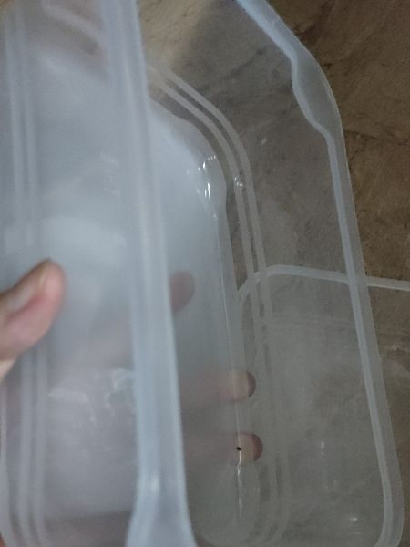 Buyer review image 4