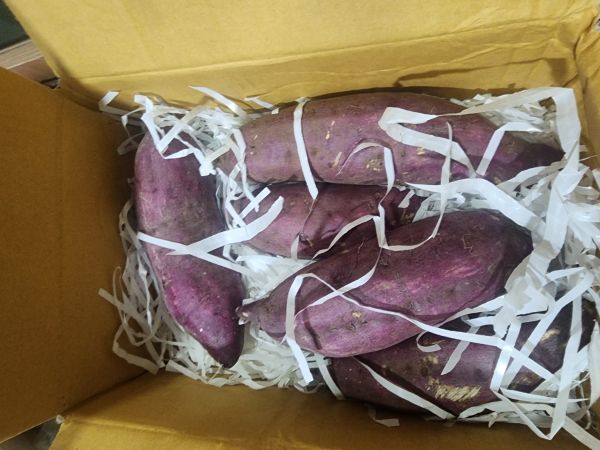 Buyer review image 4