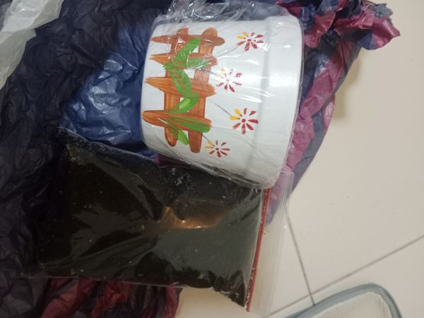 Buyer review image 2