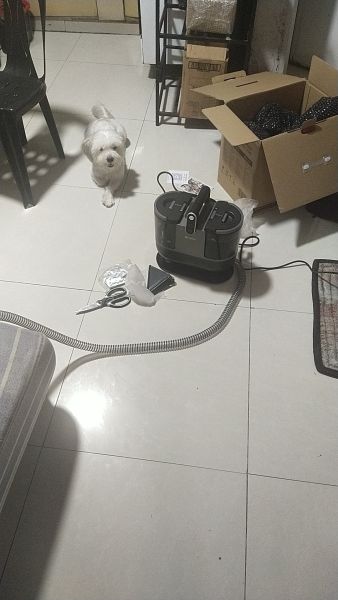 Buyer review image 2