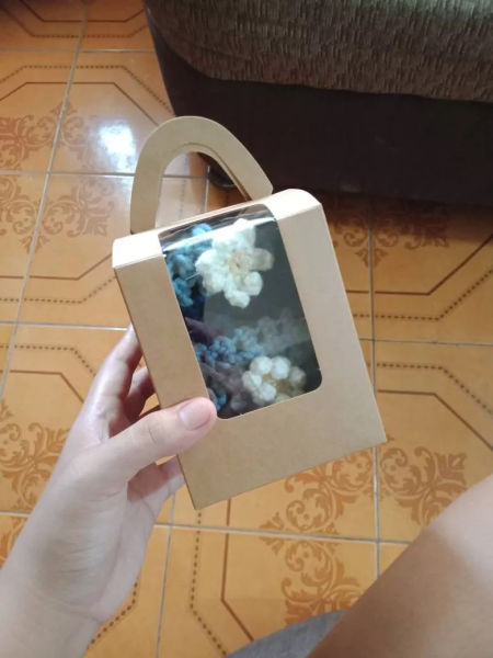 Buyer review image 2