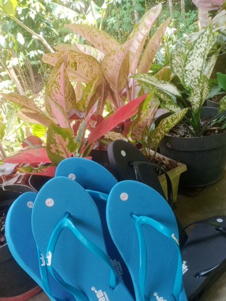 Buyer review image 4