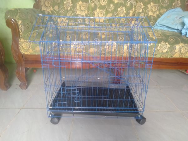 Buyer review image 3