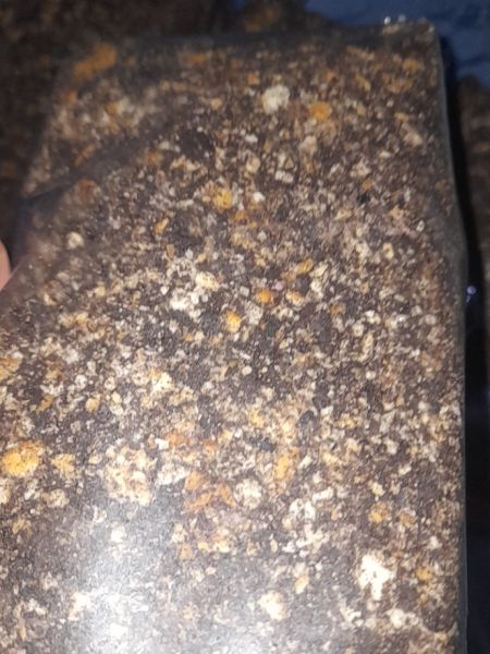 Buyer review image 4