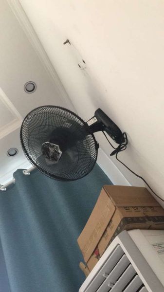 Buyer review image 5