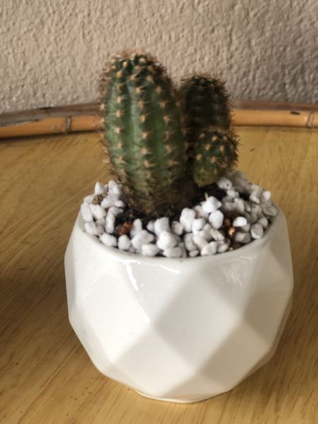 Buyer review image 4
