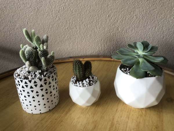 Buyer review image 5