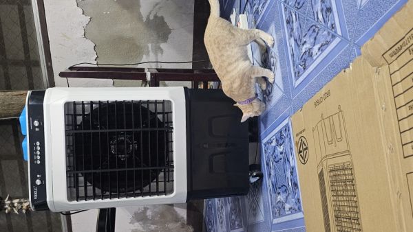 Buyer review image 4