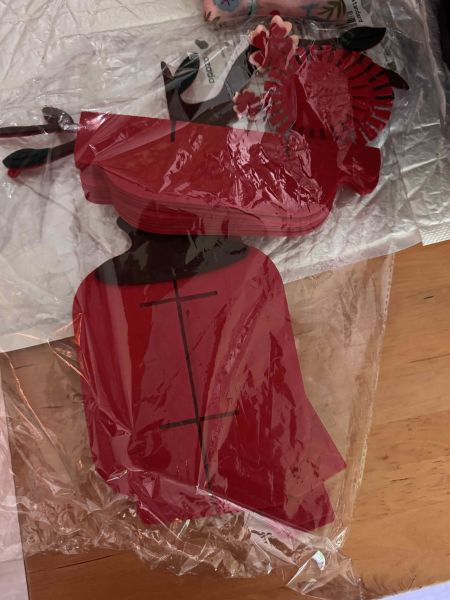 Buyer review image 2