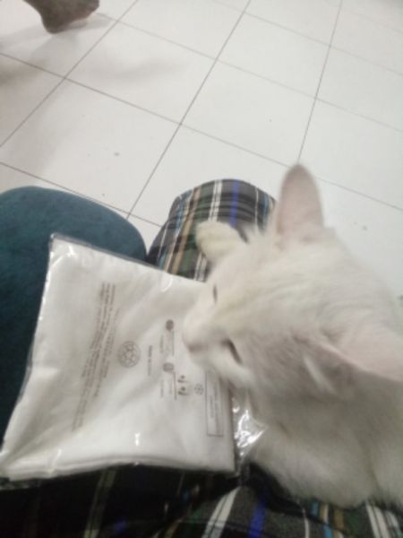 Buyer review image 1