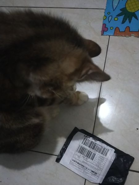 Buyer review image 3