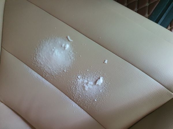 Buyer review image 4