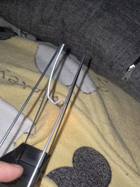 Buyer review image 2