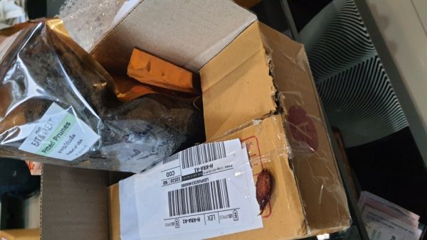 Buyer review image 2