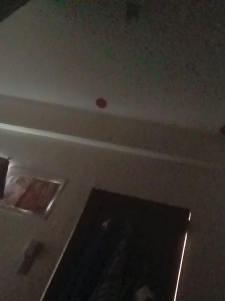 Buyer review image 4